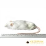 Mice XL 29g+ 10 pack