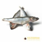 KB Herring IQF 10kg
