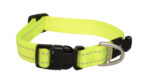 Rogz Classic Adjustable Collar - Image 5