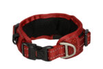 Rogz Classic Collar Padded - Image 3