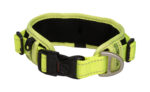 Rogz Classic Collar Padded - Image 4