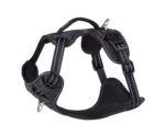 Rogz Explore Harness