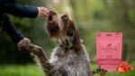 Innocent Hound Strawberry Crush Hearts 70g x 10 - Image 2