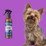 Holistic Hound Calm & Balmy 100ml