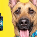Holistic Hound Bright Eyes 50ml