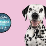 Holistic Hound Gnashers
