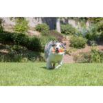 Chuckit! Ultra Fetch Stick - Image 7