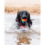 Chuckit! Amphibious Balls 3 Pack DISCONTINUED - Image 6