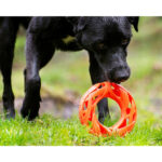 Chuckit! Air Fetch Wheel - Image 8