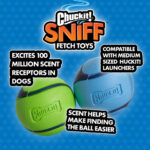 Chuckit! Sniff Fetch Ball Peanut Butter Medium 1pk - Image 5