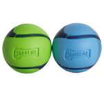Chuckit! Sniff Fetch Balls Duo Medium 2 Pack - Image 3