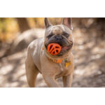 Chuckit! Air Fetch Ball Small (2pk) 4.8cm - Image 9