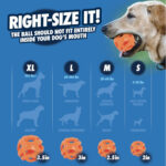 Chuckit! Air Fetch Ball Medium 6.5cm - Image 7