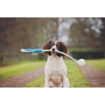 Chuckit! Max Glow Launcher With Glow Ball 25M Pro DISCONTINUED - Image 9