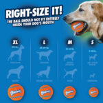 Chuckit! Tennis Ball 1 Pack Large 7.3cm - Image 5