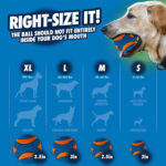 Chuckit! Ultra Squeaker Ball Small (2Pk) - Image 9