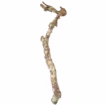 HabiStat Cork Branch, Approx 1m ( HDB1)