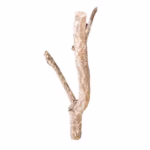 HabiStat Cork Branch, Approx 50cm  ( HDB500)