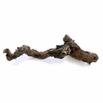 HabiStat Grapevine, Natural ( HSGV )