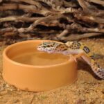 HabiStat Round Plastic Water Bowl, Large - Image 2
