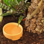 HabiStat Round Plastic Water Bowl, Medium ( HWM ) - Image 2