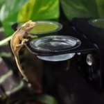 HabiStat Crested Gecko Accessory Kit (HSCGAK) - Image 7