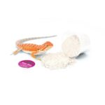 HabiStat Calci Shot Display Jar, 30 Pots ( HSCSDJ ) - Image 4