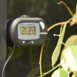 Habistat Digital Thermometer ( HSDT ) - Image 5