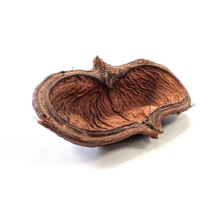 HSSP_0 HabiStat Sculta Pod ( HSSP ) - Image 1