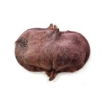 HabiStat Sculta Pod ( HSSP ) - Image 2
