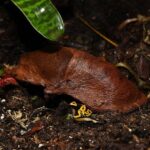HabiStat Sculta Pod ( HSSP ) - Image 5