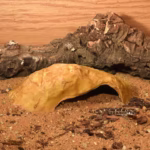 HabiStat Sandstone Reptile Cave, Small ( HRSCS ) - Image 2
