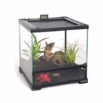 HabiStat Spider Starter Kit (HSSSK) - Image 5