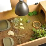 HabiStat Tortoise Table Accessory Kit (HSTTAK) - Image 7