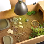 HabiStat Tortoise Table 109 x 61 x 63cm, Oak ( HTTO ) - Image 7