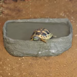 HabiStat Tortoise Pool, Large (HRRDTPL) - Image 3