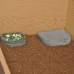 HabiStat Tortoise Pool, Medium ( HRRDTPM ) - Image 2