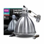 Arcadia Reflector Clamp Lamp With Ceramic Holder E27, 20cm, Stainless Steel (RARM160)