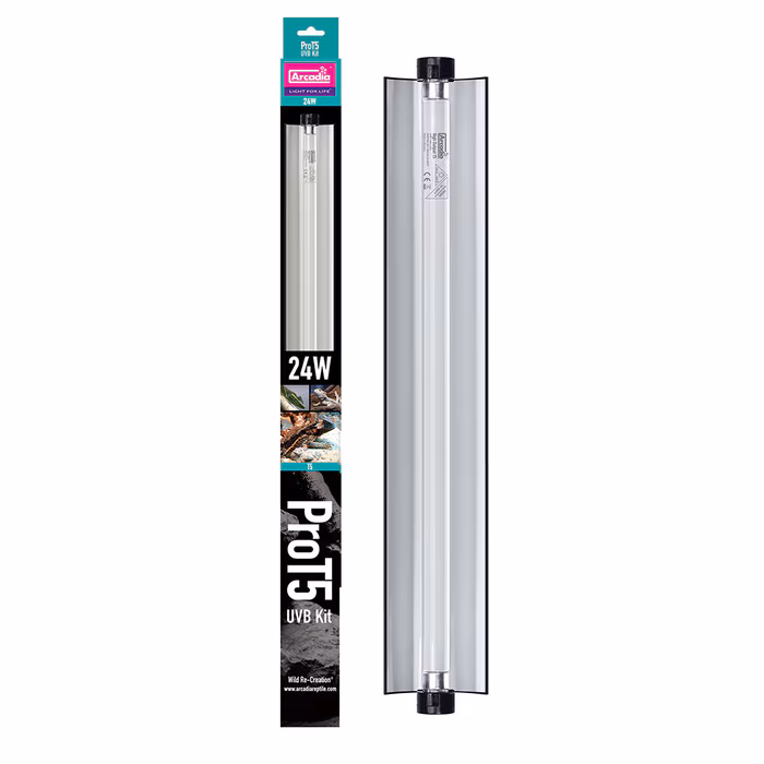 RAPT5UVB24_Dragon, 14 percent UVB_0_RARTP24D Arcadia Pro T5 UVB Kit, Dragon, 14% UV-B, 24 Watt (RARTP24D) - Image 1