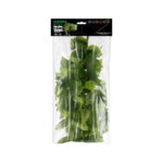HabiStat Hanging Vine, Forever Green 100cm (HHVFG100)