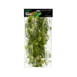 HabiStat Hanging Vine Plus Greenery Grape 100cm (HHVPGG)