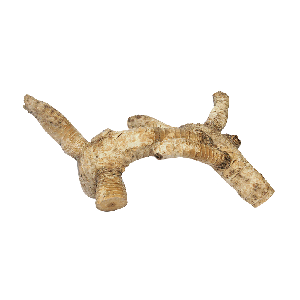 HNBRM_0 HabiStat Bamboo Root - Image 1