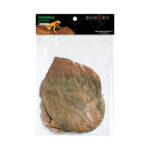 HabiStat Leaves, Dadap, 10 pack (HNLLD)