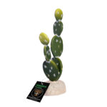Habistat Cacti, Bunny Ears (HPCBE)