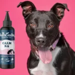 Holistic Hound Calm K9 500ml