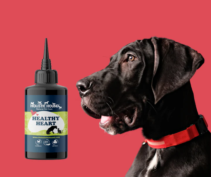 HealthyHeartfromtheHolisticHound Holistic Hound Fundamentals: Healthy Heart 50ml - Image 1