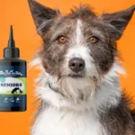 Holistic Hound Fundamentals: Seniors 50ml