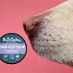 Holistic Hound Snout & Paw Balm 40ml Tub
