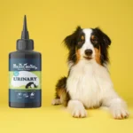 Holistic Hound Fundamentals: Urinary 50ml