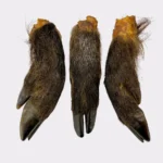 Dried Wild Boar Legs - Hairy